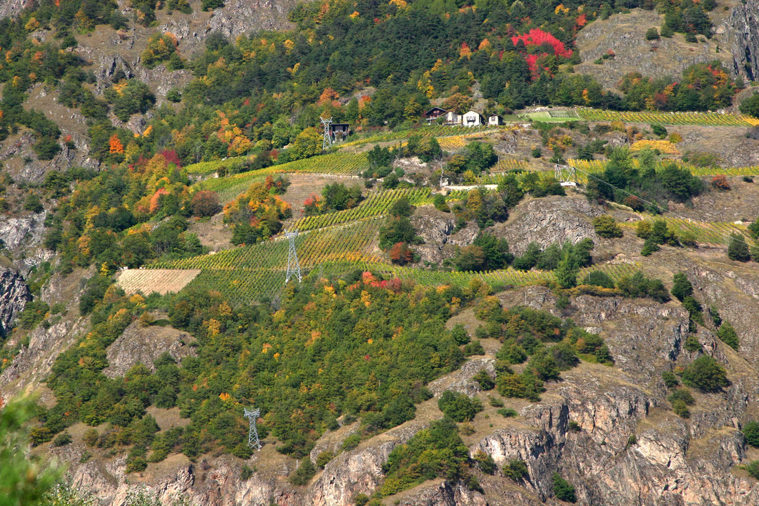 Domaine de Beudon