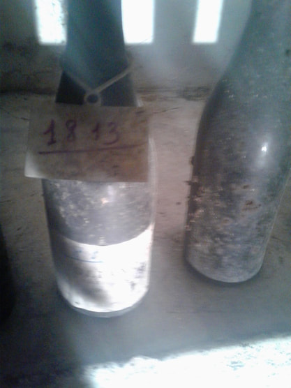 Bottles in the cellar at Villa Era, Alto Piemonte